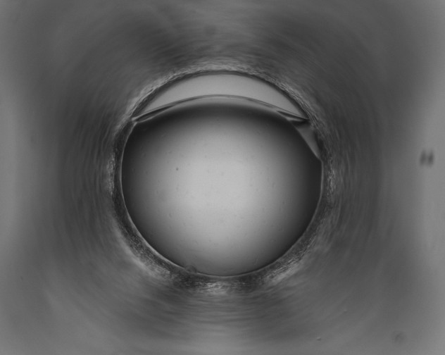 X0000088870064200706291550