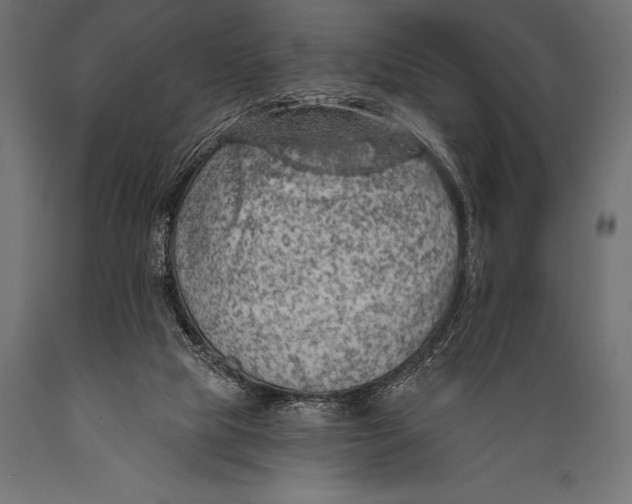 X0000088870065200706291550