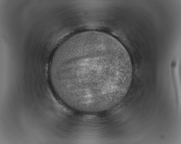 X0000088870066200706291550