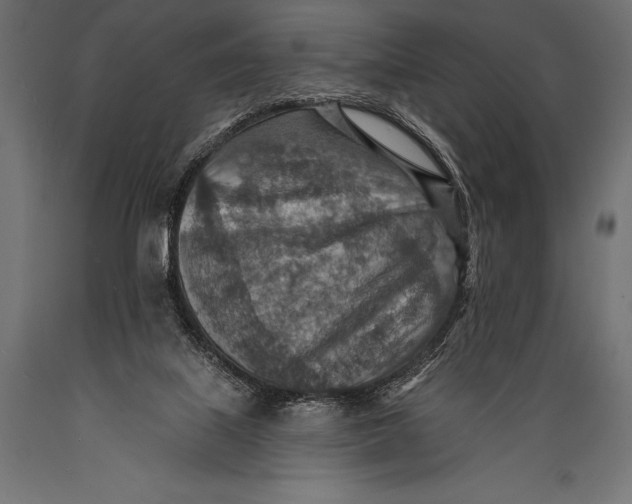 X0000088870067200706291550