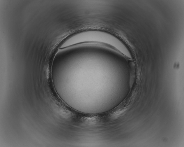 X0000088870068200706291550