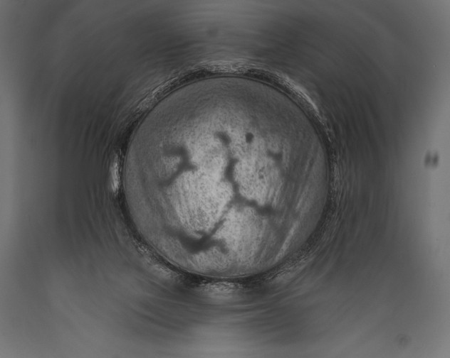 X0000088870069200706291550