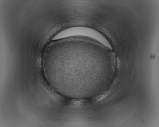 X0000088870072200706291550