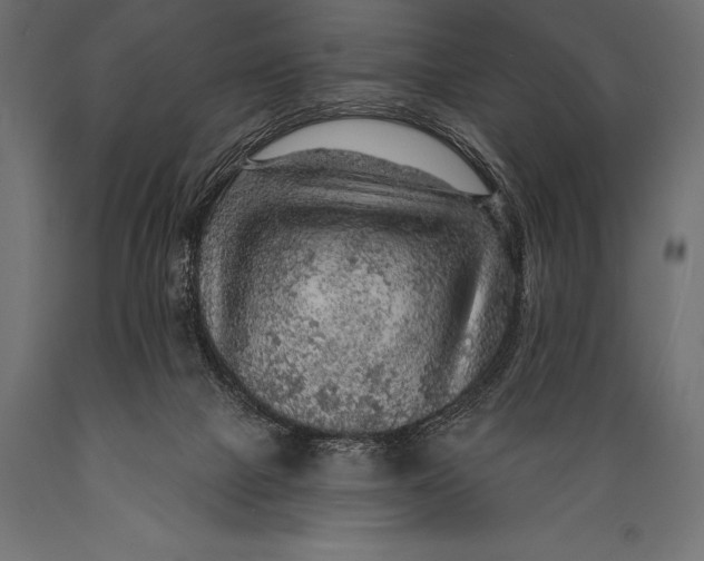 X0000088870073200706291550
