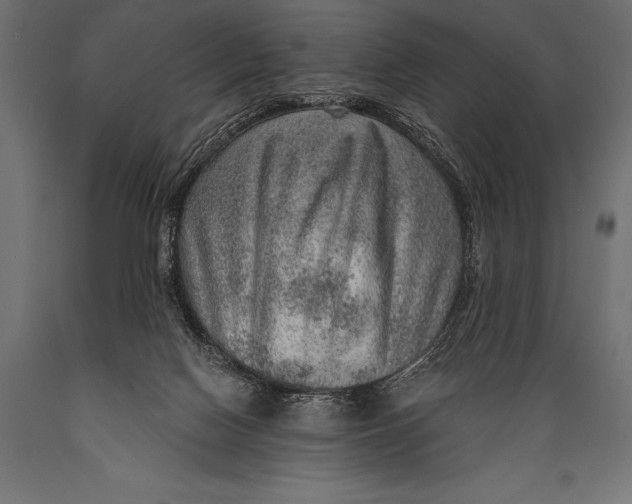 X0000088870074200706291550