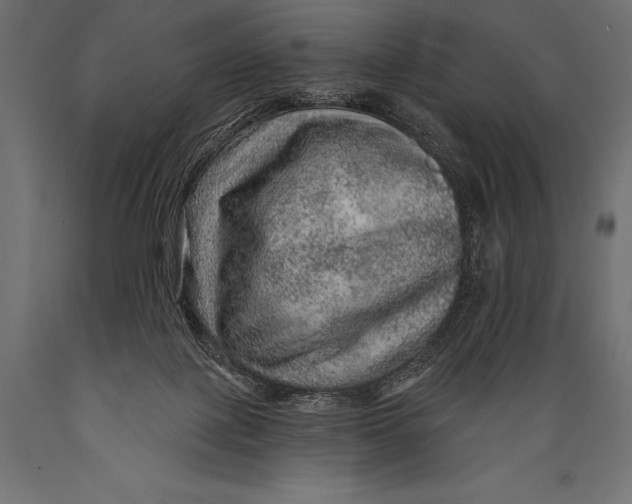 X0000088870075200706291550