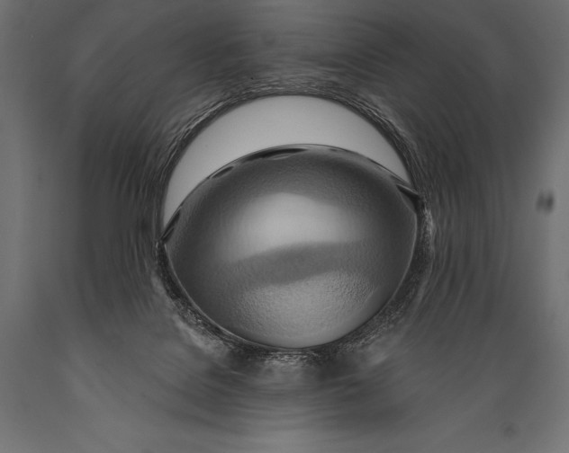 X0000088870076200706291550