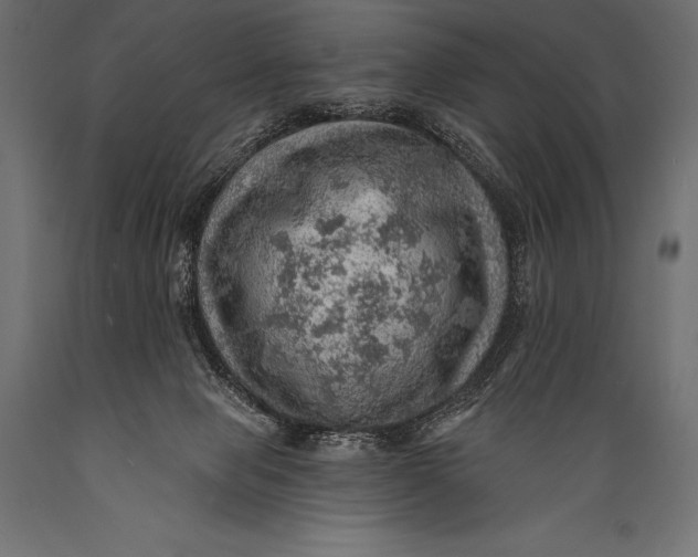 X0000088870077200706291550