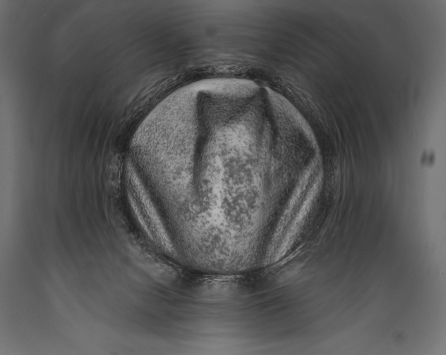 X0000088870078200706291550