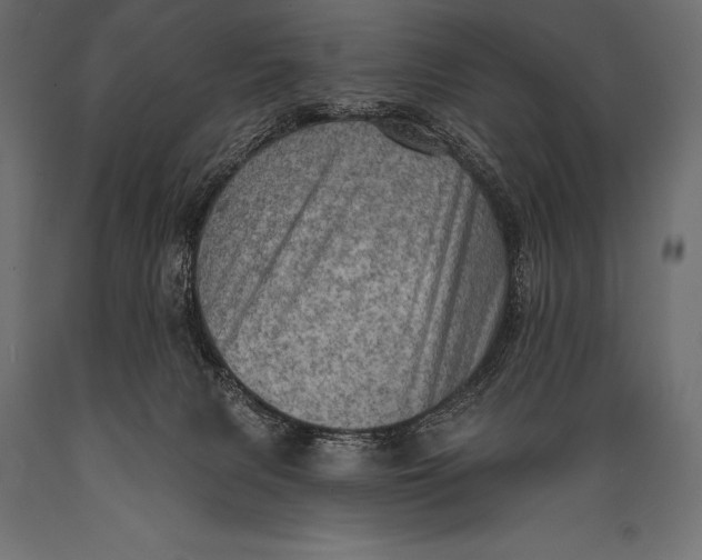 X0000088870079200706291550
