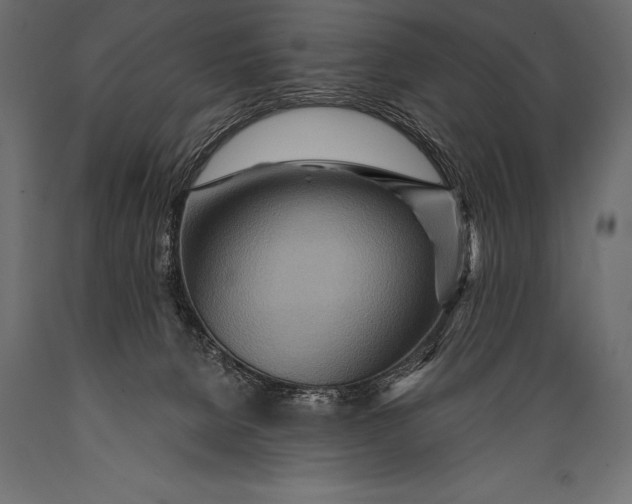 X0000088870080200706291550