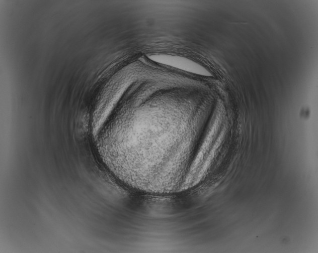 X0000088870081200706291550