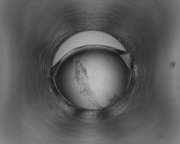 X0000088870084200706291550