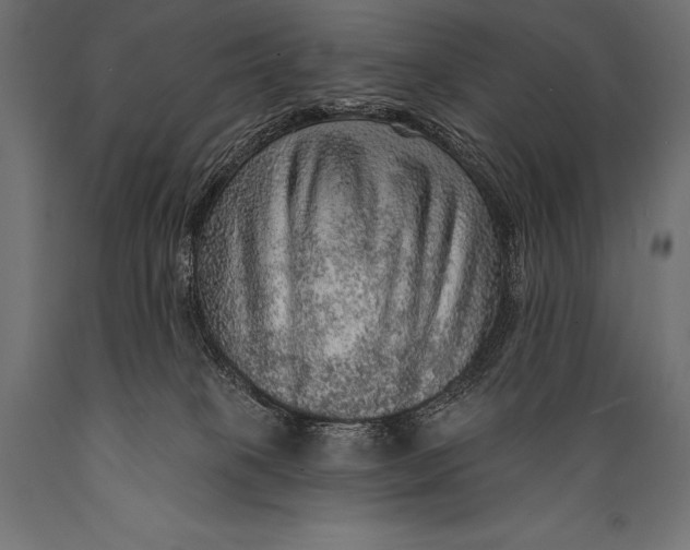X0000088870085200706291550