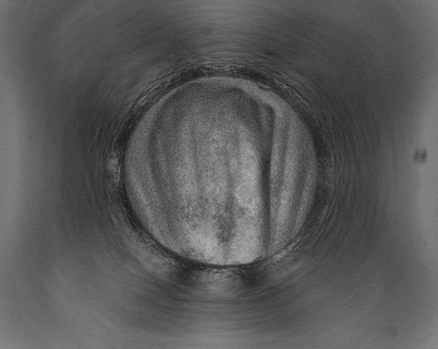 X0000088870086200706291550