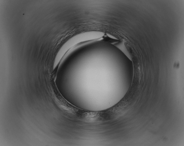 X0000088870088200706291550