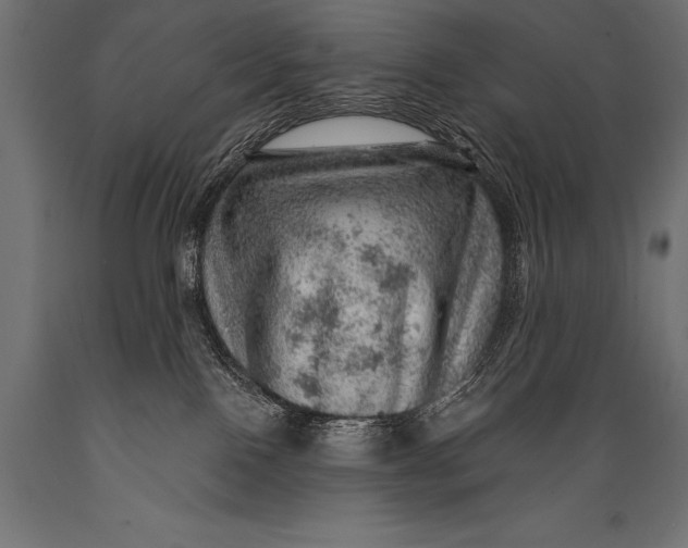 X0000088870090200706291550