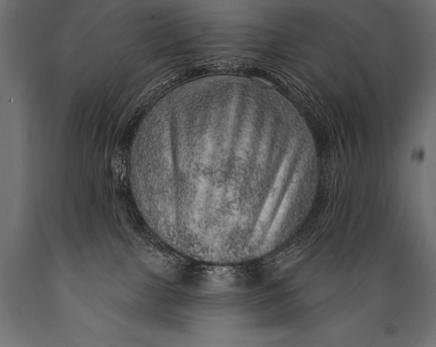 X0000088870091200706291550