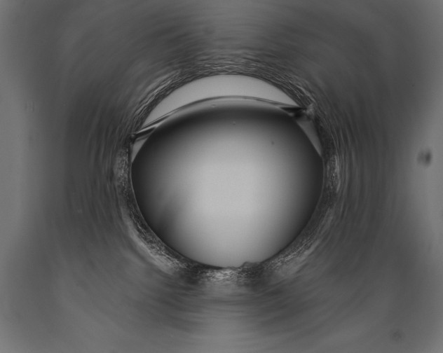X0000088870092200706291550