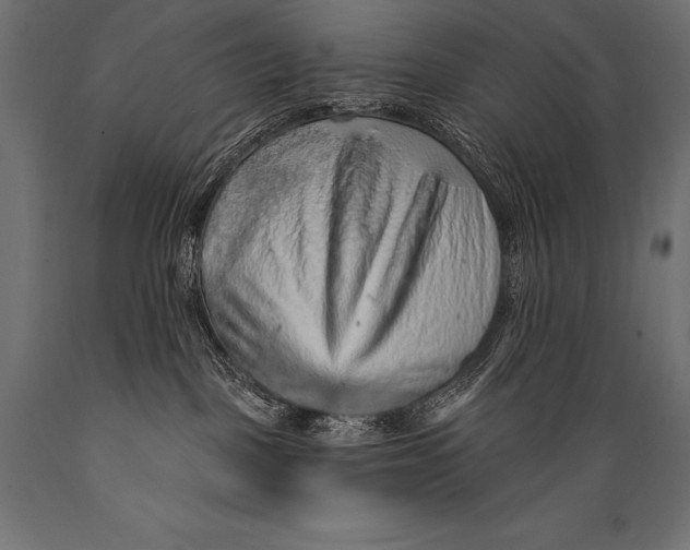 X0000088870093200706291550