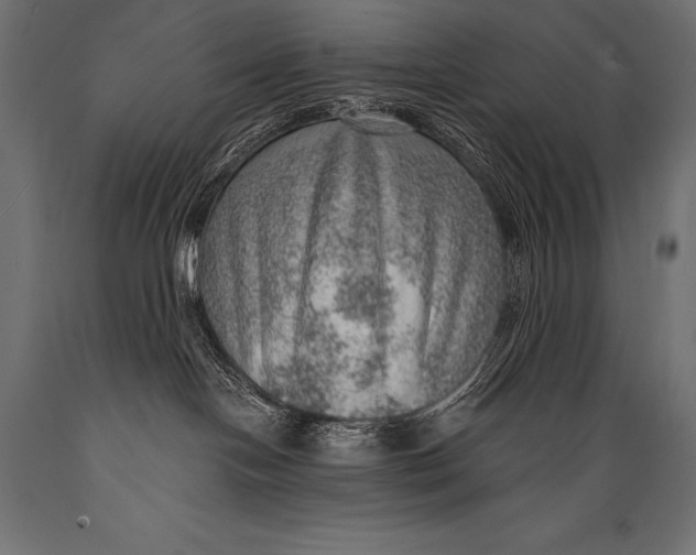 X0000088870094200706291550