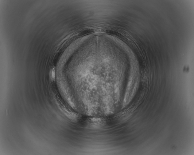 X0000088870095200706291550