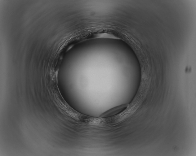 X0000088870096200706291550