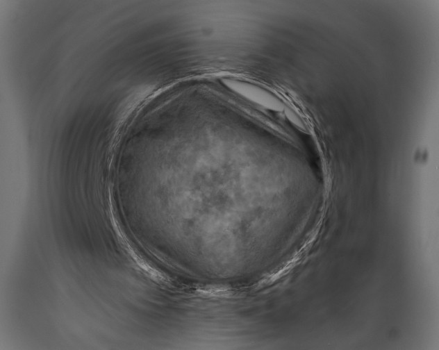 X0000088870097200706291549