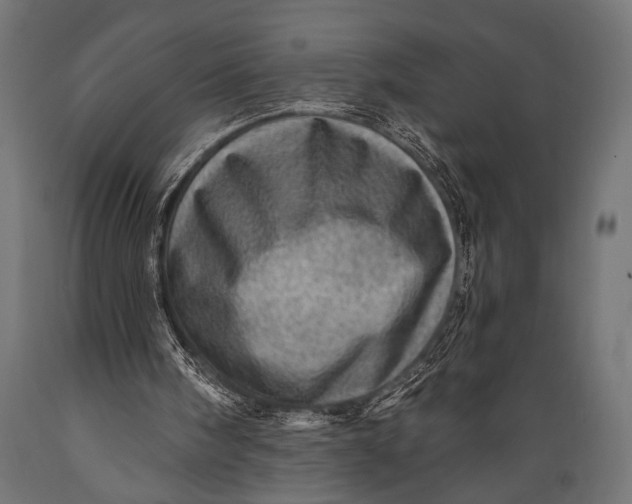 X0000088870098200706291549