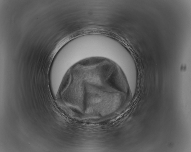 X0000088870099200706291549