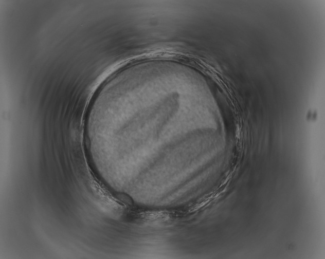 X0000088870100200706291549