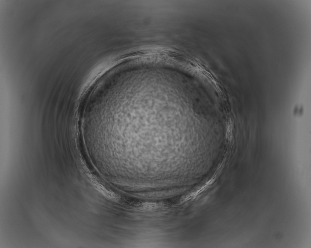 X0000088870101200706291549