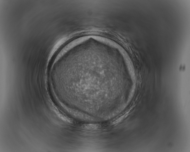 X0000088870102200706291549