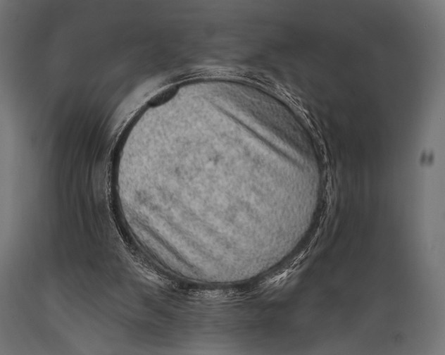 X0000088870103200706291549