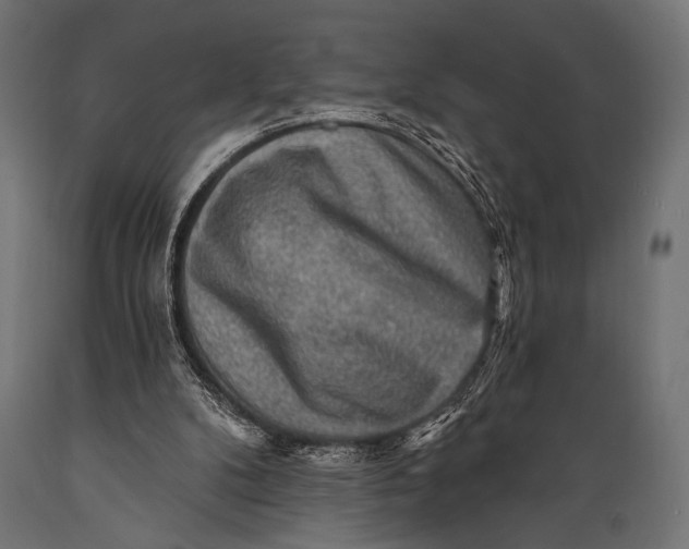 X0000088870104200706291549
