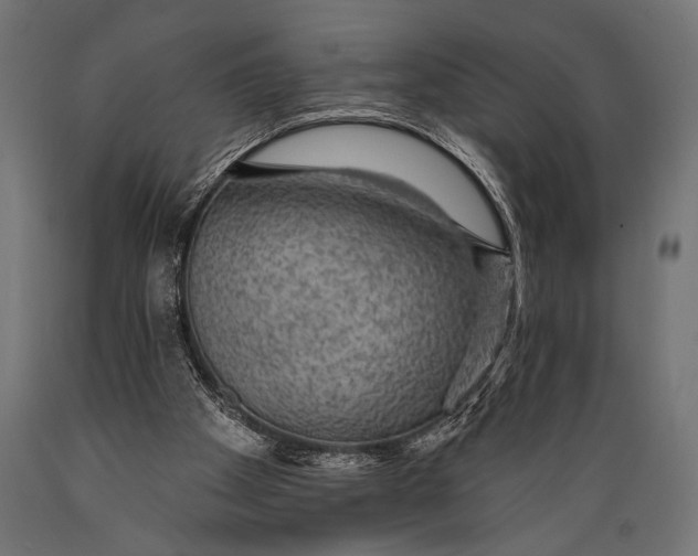 X0000088870105200706291549
