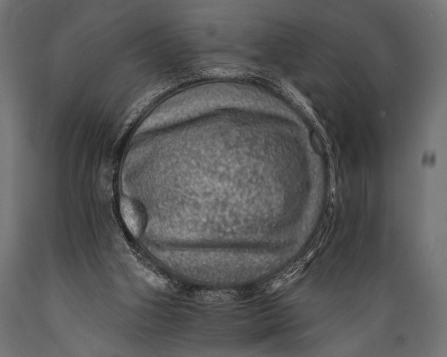 X0000088870106200706291549