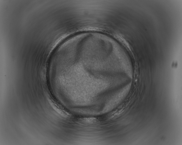 X0000088870108200706291549
