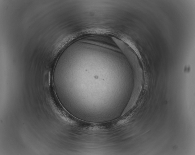 X0000088870109200706291549