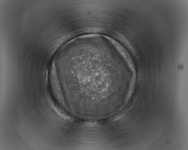 X0000088870110200706291549