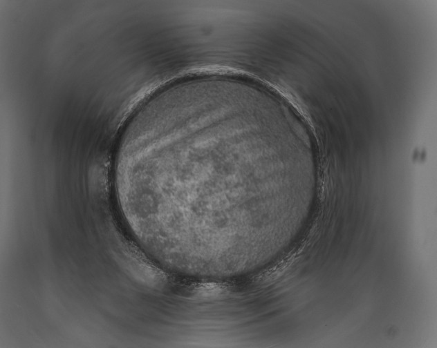 X0000088870111200706291549