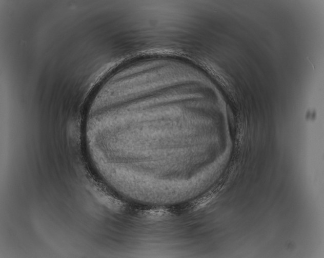 X0000088870112200706291549