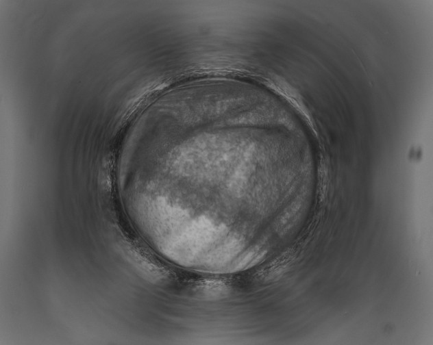 X0000088870114200706291549