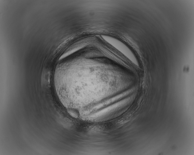 X0000088870115200706291549