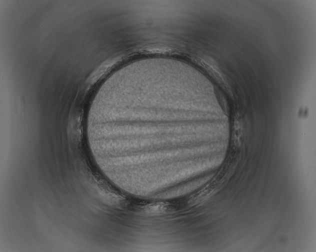 X0000088870116200706291549