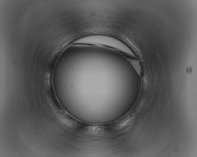 X0000088870117200706291549