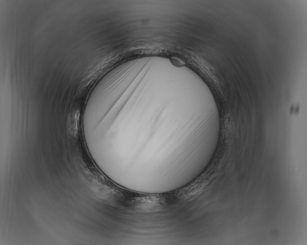 X0000088870118200706291549