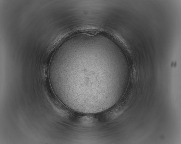 X0000088870119200706291549