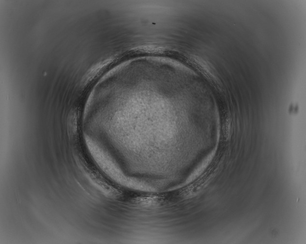 X0000088870120200706291549