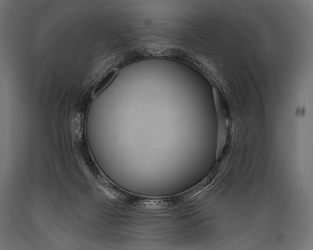X0000088870121200706291549
